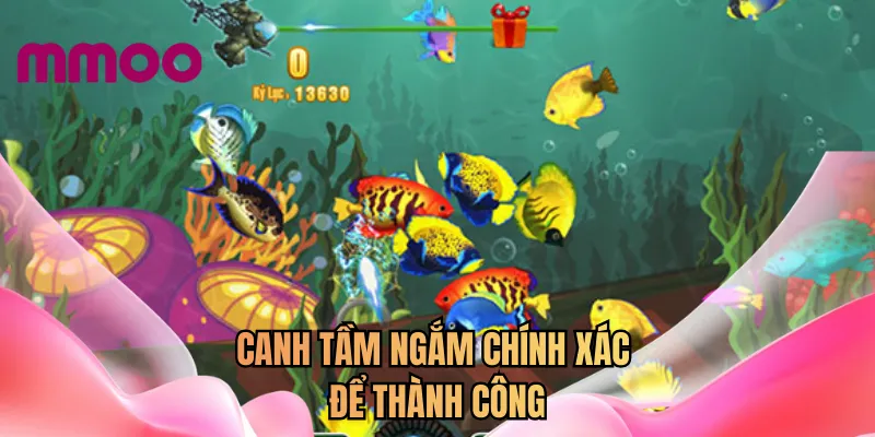 Canh tầm ngắm chính xác để thành công