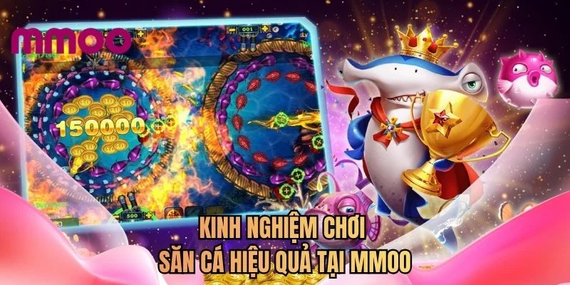 Kinh nghiệm chơi săn cá hiệu quả tại MMOO