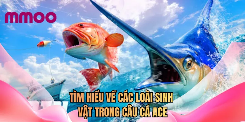 Tìm hiểu về các loài sinh vật trong câu cá ACE